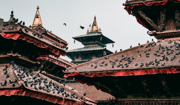 Pigeons on traditional pagoda rooftops in cultural Kathmandu, Nepal.